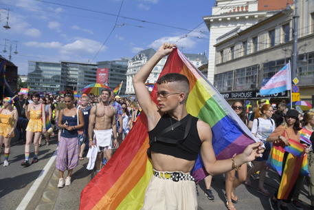 Gay pride parade in Budapest © EPA