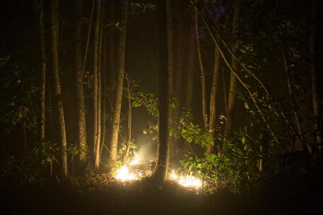 Un incendio nei boschi © AFP