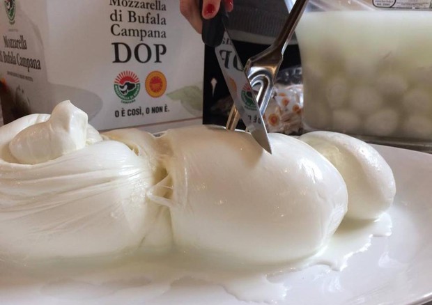 È il web la nuova frontiera dei 'furbetti' della falsa mozzarella Dop. (foto: ANSA)