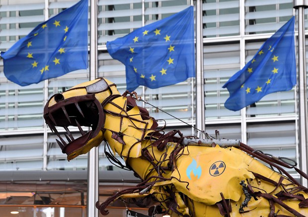 Tassonomia: Verdi tedeschi, Parlamento Ue fermi la follia (foto: AFP)