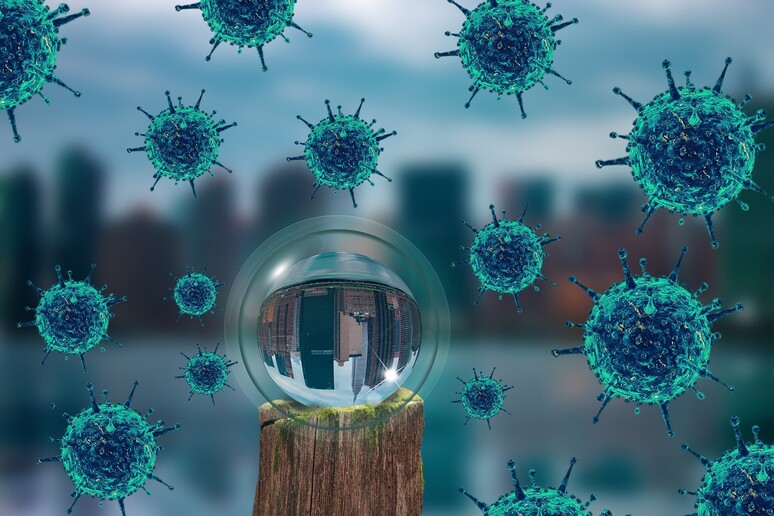 Le principali tappe della pandemia di Covid-19 nel 2020 (fonte: Fernando Zhiminaicela da Pixabay) - RIPRODUZIONE RISERVATA