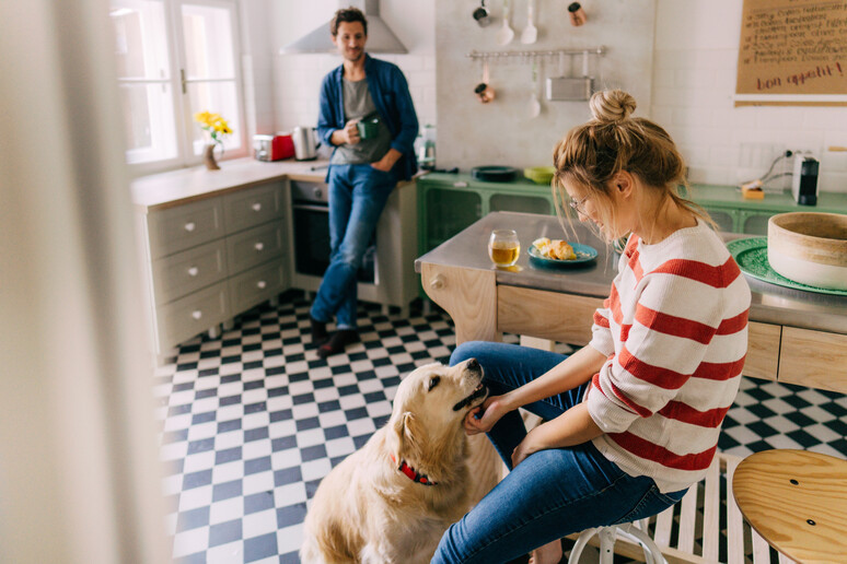 Una coppia amorevole con il cane in cucina foto iStock. - RIPRODUZIONE RISERVATA