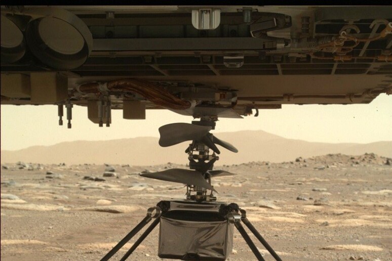 Ingenuity allunga le  'zampe ' sotto la pancia del rover Perseverance (fonte: NASA/JPL-Caltech) - RIPRODUZIONE RISERVATA