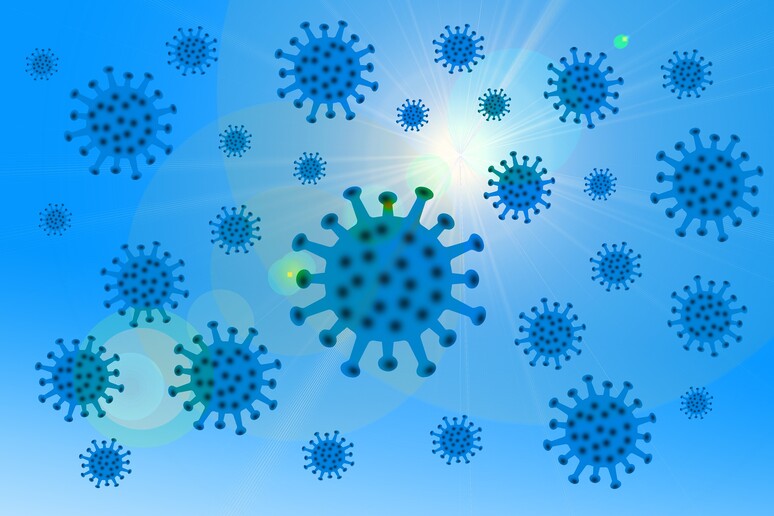 Frena la discesa dei contagi in Italia, ma risale l 'indice Rt (fonte: Gerd Altmann da Pixabay) - RIPRODUZIONE RISERVATA