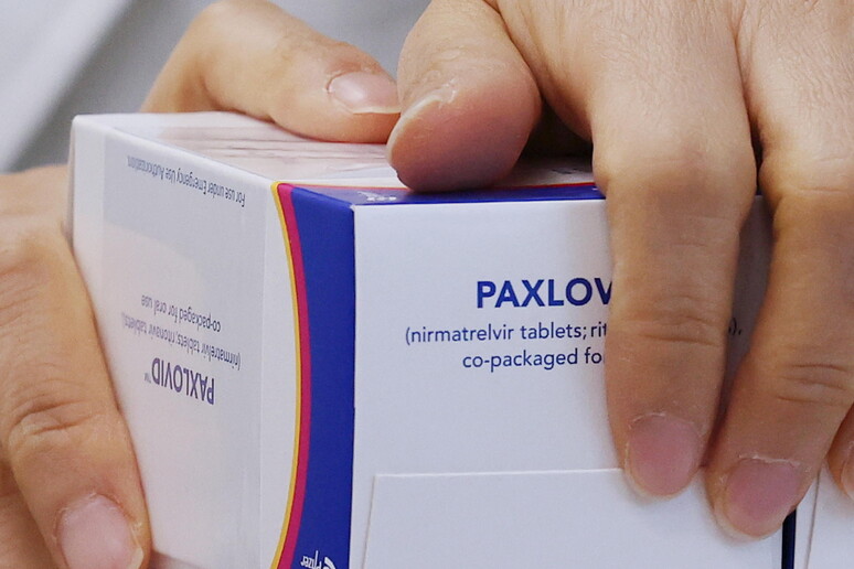 Confezioni di Paxlovid © ANSA/EPA