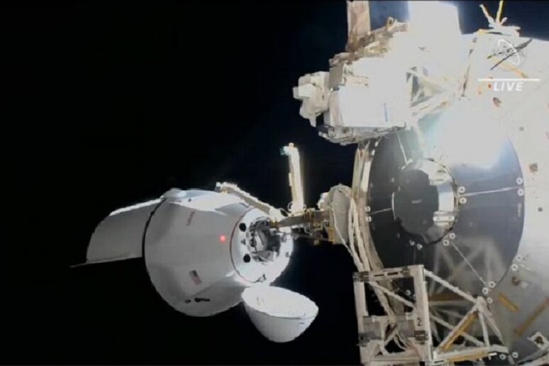 La navetta Dragon ahhanciata al modulo Harmony della Stazione Spaziale (fonte: NASA TV) - RIPRODUZIONE RISERVATA