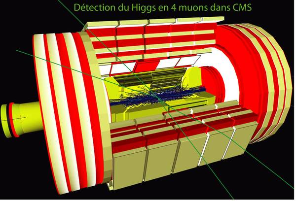 Eventi all’interno del rivelatore dell’esperimento Cms (fonte: CERN)
